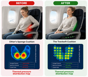 The Travlsoft Cushion